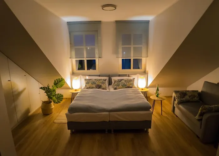 Centrum 브라니에보